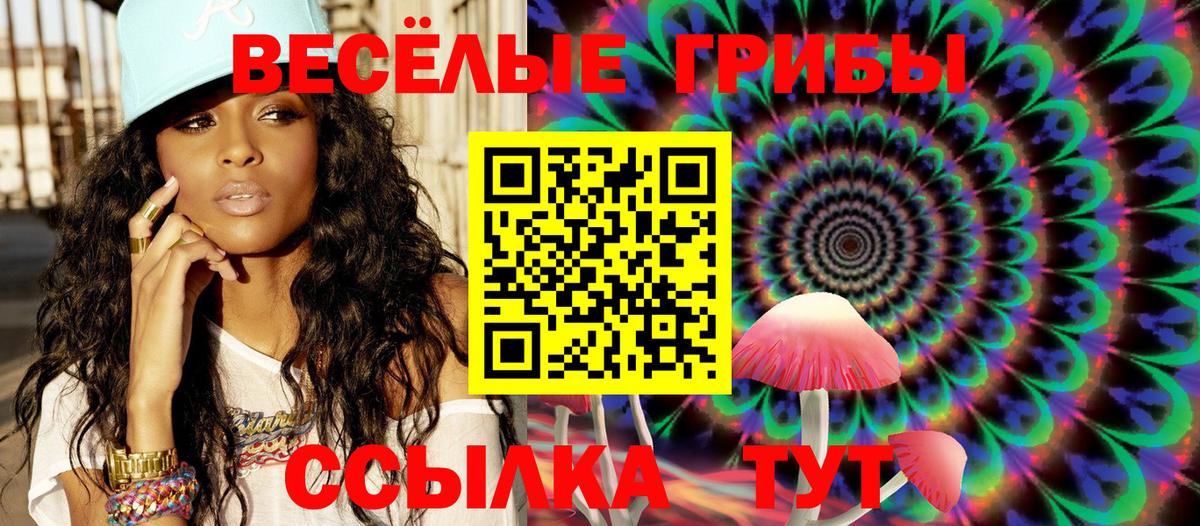 Шатура  Псилоцибиновые грибы MAGIC MUSHROOMS  Вход с VPN  Галлюциногенные грибы ЛСД 