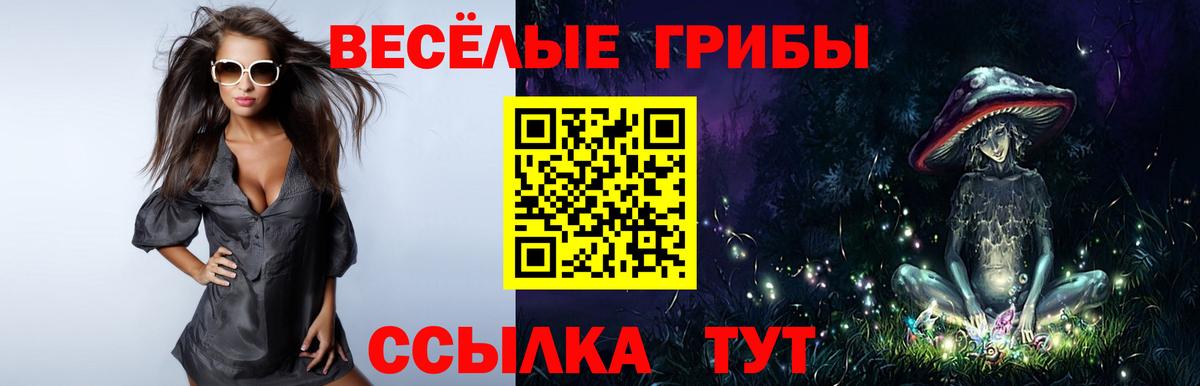 Псилоцибиновые грибы прущие грибы Шатура